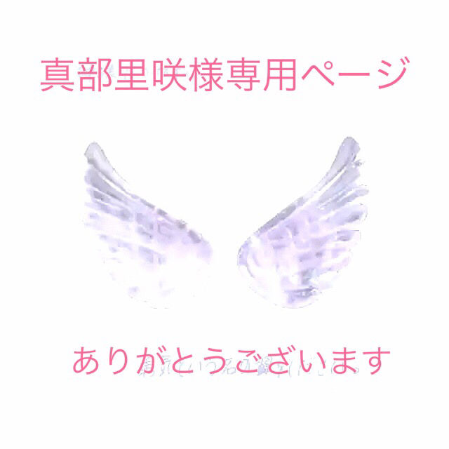 真部里咲様専用ページ - フリマアプリ&サイトShoppies[ショッピーズ]