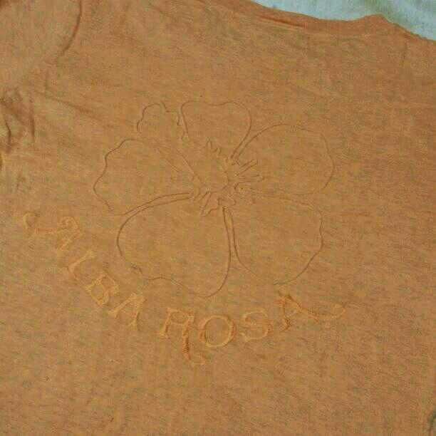 値下げALBA ROSAバクプリ刺繍ハイビTシャツ