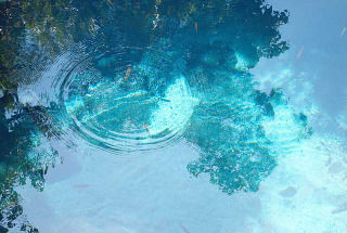 スタジオたぬさんのshop スタジオたぬ の商品一覧