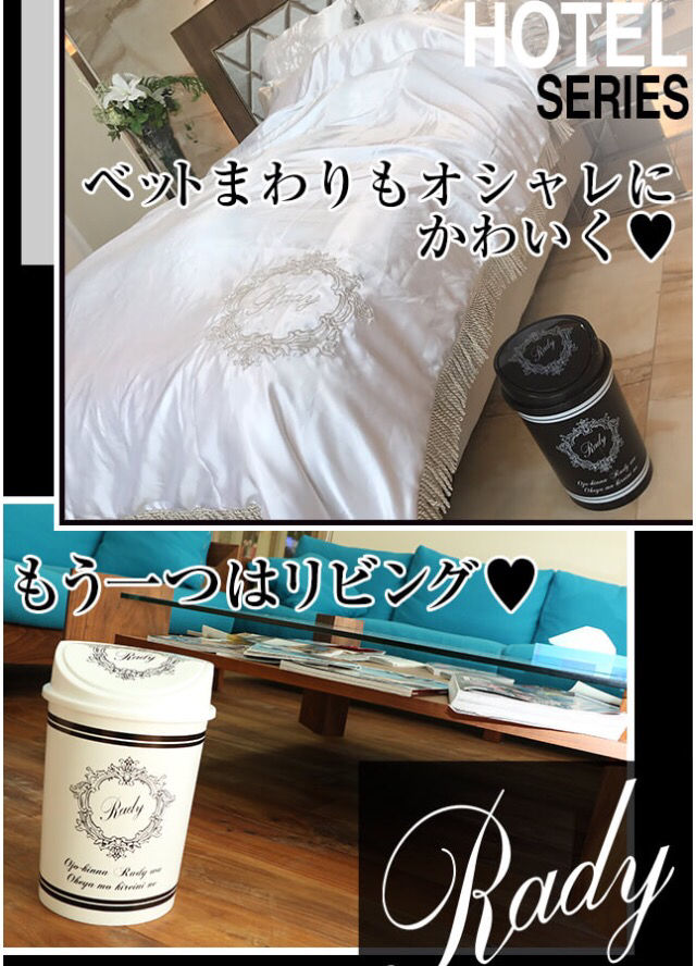 Rady - Rady♡ダストボックスセット本日のみ値下げ rady ゴミ箱 2個セット(レディー/Rady ) - フリマアプリ&サイト