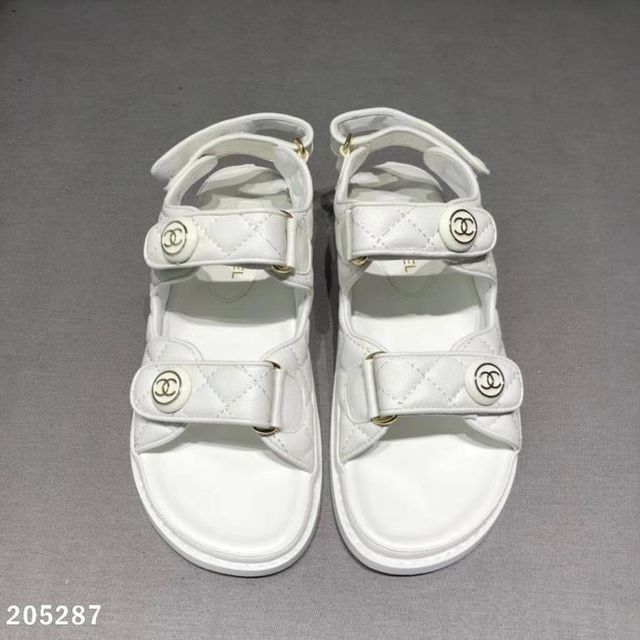 ダイワ リーディング-XA 73205Ⅰ フィッシング