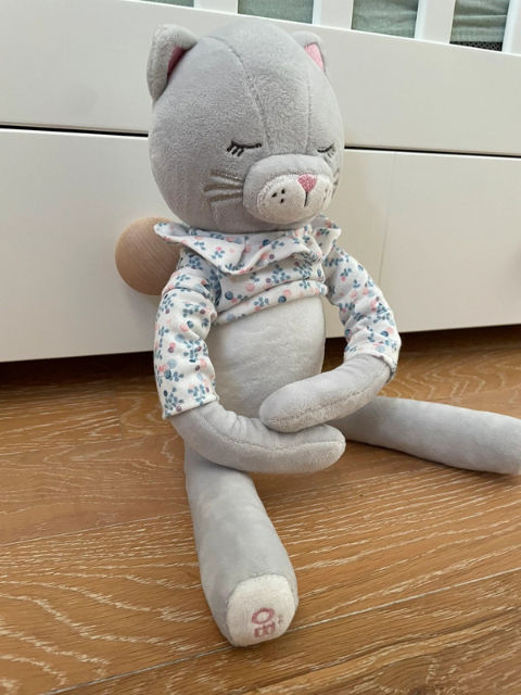眠る猫